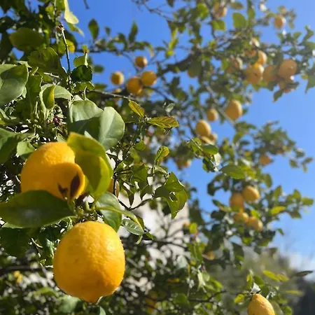 Apartamento Proche De La De L'almanarre