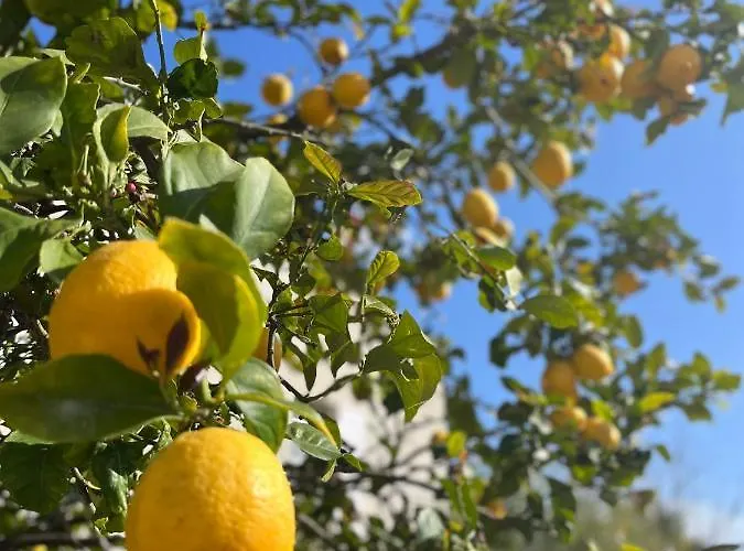 Apartment Proche De La De L'almanarre